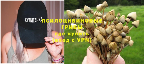 мескалин Новозыбков