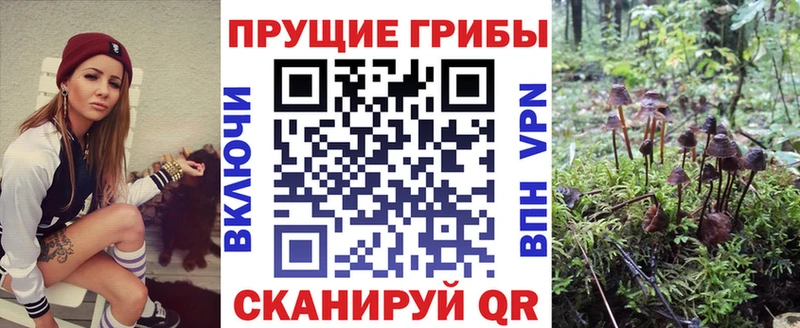 купить наркоту  Покачи  Галлюциногенные грибы мухоморы 